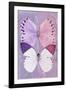 Miss Butterfly Duo Formoia - Mauve & Pink-Philippe Hugonnard-Framed Photographic Print