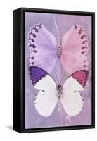 Miss Butterfly Duo Formoia - Mauve & Pink-Philippe Hugonnard-Framed Stretched Canvas