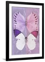 Miss Butterfly Duo Formoia - Mauve & Pink-Philippe Hugonnard-Framed Premium Photographic Print