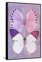 Miss Butterfly Duo Formoia - Mauve & Pink-Philippe Hugonnard-Framed Stretched Canvas