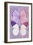 Miss Butterfly Duo Formoia - Mauve & Pink-Philippe Hugonnard-Framed Photographic Print