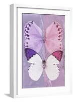 Miss Butterfly Duo Formoia - Mauve & Pink-Philippe Hugonnard-Framed Photographic Print