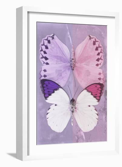 Miss Butterfly Duo Formoia - Mauve & Pink-Philippe Hugonnard-Framed Photographic Print