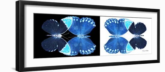 Miss Butterfly Duo Formoia Pan - X-Ray B&W Edition-Philippe Hugonnard-Framed Photographic Print