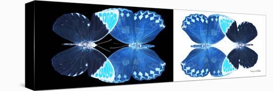 Miss Butterfly Duo Formoia Pan - X-Ray B&W Edition-Philippe Hugonnard-Stretched Canvas