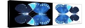 Miss Butterfly Duo Formoia Pan - X-Ray B&W Edition-Philippe Hugonnard-Stretched Canvas