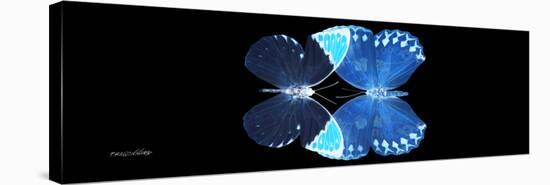 Miss Butterfly Duo Formoia Pan - X-Ray Black Edition-Philippe Hugonnard-Stretched Canvas