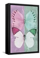 Miss Butterfly Duo Formoia - Pink & Coral Green-Philippe Hugonnard-Framed Stretched Canvas