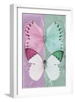 Miss Butterfly Duo Formoia - Pink & Coral Green-Philippe Hugonnard-Framed Photographic Print