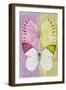 Miss Butterfly Duo Formoia - Pink & Yellow-Philippe Hugonnard-Framed Photographic Print