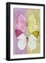 Miss Butterfly Duo Formoia - Pink & Yellow-Philippe Hugonnard-Framed Photographic Print