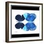 Miss Butterfly Duo Formoia Sq - X-Ray B&W Edition-Philippe Hugonnard-Framed Photographic Print