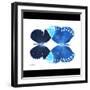 Miss Butterfly Duo Formoia Sq - X-Ray B&W Edition-Philippe Hugonnard-Framed Photographic Print