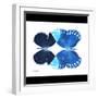 Miss Butterfly Duo Formoia Sq - X-Ray B&W Edition-Philippe Hugonnard-Framed Photographic Print