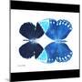 Miss Butterfly Duo Formoia Sq - X-Ray B&W Edition-Philippe Hugonnard-Mounted Photographic Print