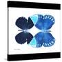 Miss Butterfly Duo Formoia Sq - X-Ray B&W Edition-Philippe Hugonnard-Stretched Canvas