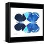 Miss Butterfly Duo Formoia Sq - X-Ray B&W Edition-Philippe Hugonnard-Framed Stretched Canvas
