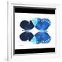 Miss Butterfly Duo Formoia Sq - X-Ray B&W Edition-Philippe Hugonnard-Framed Photographic Print