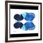 Miss Butterfly Duo Formoia Sq - X-Ray B&W Edition-Philippe Hugonnard-Framed Photographic Print