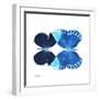 Miss Butterfly Duo Formoia Sq - X-Ray White Edition-Philippe Hugonnard-Framed Photographic Print