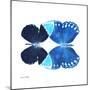 Miss Butterfly Duo Formoia Sq - X-Ray White Edition-Philippe Hugonnard-Mounted Photographic Print