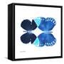Miss Butterfly Duo Formoia Sq - X-Ray White Edition-Philippe Hugonnard-Framed Stretched Canvas
