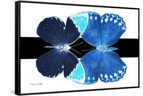 Miss Butterfly Duo Formoia - X-Ray B&W Edition-Philippe Hugonnard-Framed Stretched Canvas