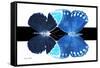 Miss Butterfly Duo Formoia - X-Ray B&W Edition-Philippe Hugonnard-Framed Stretched Canvas