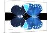 Miss Butterfly Duo Formoia - X-Ray B&W Edition-Philippe Hugonnard-Mounted Photographic Print