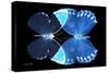 Miss Butterfly Duo Formoia - X-Ray Black Edition-Philippe Hugonnard-Stretched Canvas