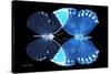 Miss Butterfly Duo Formoia - X-Ray Black Edition-Philippe Hugonnard-Stretched Canvas