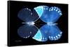 Miss Butterfly Duo Formoia - X-Ray Black Edition-Philippe Hugonnard-Framed Stretched Canvas