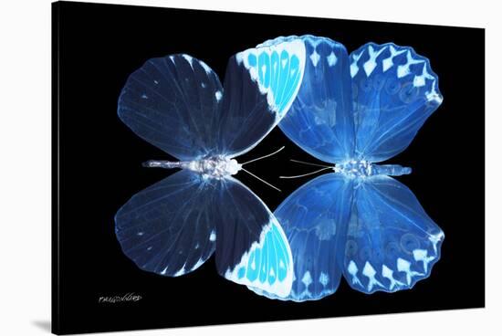 Miss Butterfly Duo Formoia - X-Ray Black Edition-Philippe Hugonnard-Stretched Canvas