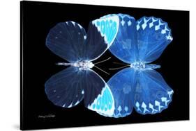 Miss Butterfly Duo Formoia - X-Ray Black Edition-Philippe Hugonnard-Stretched Canvas