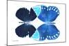 Miss Butterfly Duo Formoia - X-Ray White Edition-Philippe Hugonnard-Mounted Photographic Print