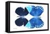 Miss Butterfly Duo Formoia - X-Ray White Edition-Philippe Hugonnard-Framed Stretched Canvas