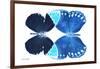 Miss Butterfly Duo Formoia - X-Ray White Edition-Philippe Hugonnard-Framed Photographic Print