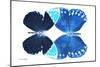 Miss Butterfly Duo Formoia - X-Ray White Edition-Philippe Hugonnard-Mounted Photographic Print