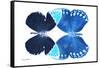 Miss Butterfly Duo Formoia - X-Ray White Edition-Philippe Hugonnard-Framed Stretched Canvas
