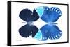 Miss Butterfly Duo Formoia - X-Ray White Edition-Philippe Hugonnard-Framed Stretched Canvas