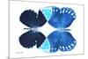 Miss Butterfly Duo Formoia - X-Ray White Edition-Philippe Hugonnard-Mounted Photographic Print