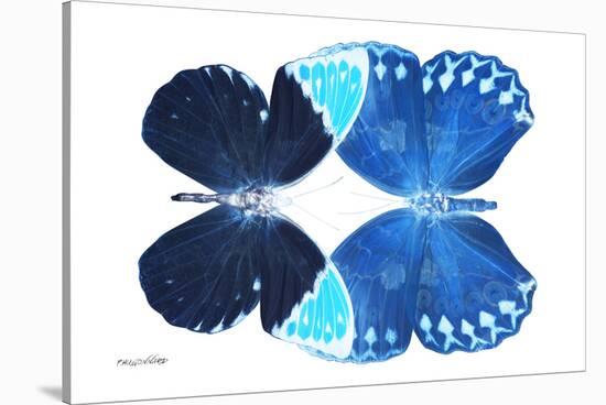 Miss Butterfly Duo Formoia - X-Ray White Edition-Philippe Hugonnard-Stretched Canvas