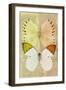 Miss Butterfly Duo Formoia - Yellow & Dark Yellow-Philippe Hugonnard-Framed Photographic Print