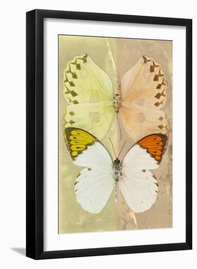 Miss Butterfly Duo Formoia - Yellow & Dark Yellow-Philippe Hugonnard-Framed Photographic Print