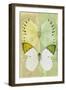 Miss Butterfly Duo Formoia - Yellow & Lime Green-Philippe Hugonnard-Framed Photographic Print