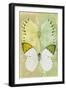 Miss Butterfly Duo Formoia - Yellow & Lime Green-Philippe Hugonnard-Framed Photographic Print