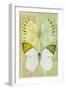 Miss Butterfly Duo Formoia - Yellow & Lime Green-Philippe Hugonnard-Framed Photographic Print
