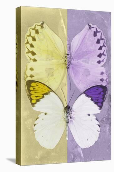 Miss Butterfly Duo Formoia - Yellow & Mauve-Philippe Hugonnard-Stretched Canvas