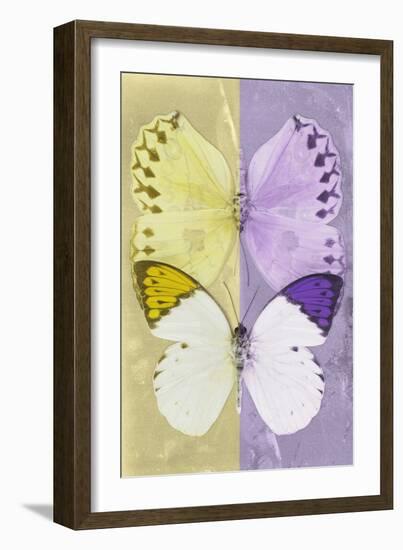 Miss Butterfly Duo Formoia - Yellow & Mauve-Philippe Hugonnard-Framed Photographic Print