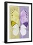Miss Butterfly Duo Formoia - Yellow & Mauve-Philippe Hugonnard-Framed Photographic Print